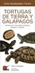 Tortugas de tierra y galápagos