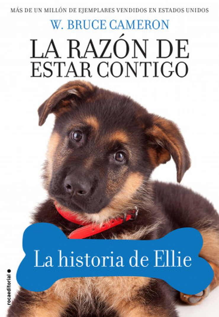 La razón de estar contigo. La historia d