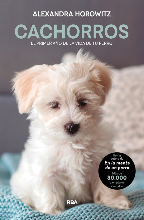 Cachorros. El primer a&ntilde;o de la vida de tu perro