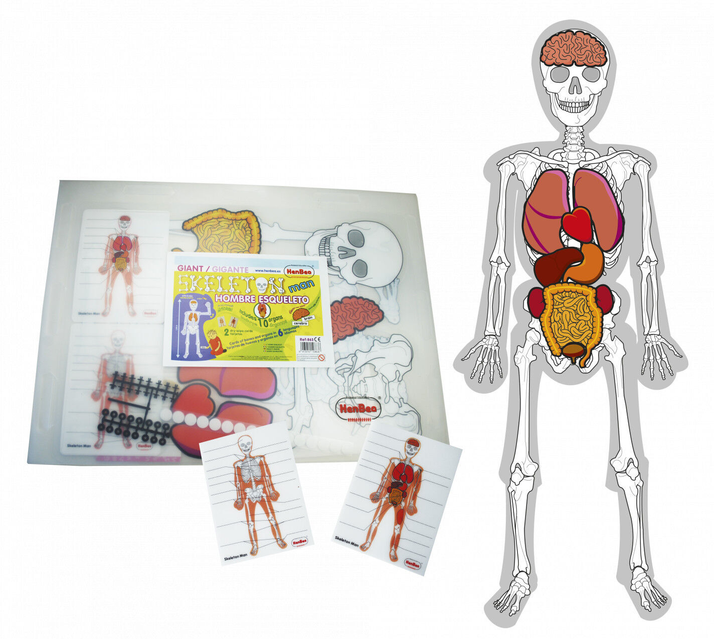 Juego did&aacute;ctico Hombre esqueleto Henbea