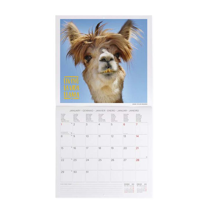 Calendario pared Legami 30X29 2024 Take It Easy