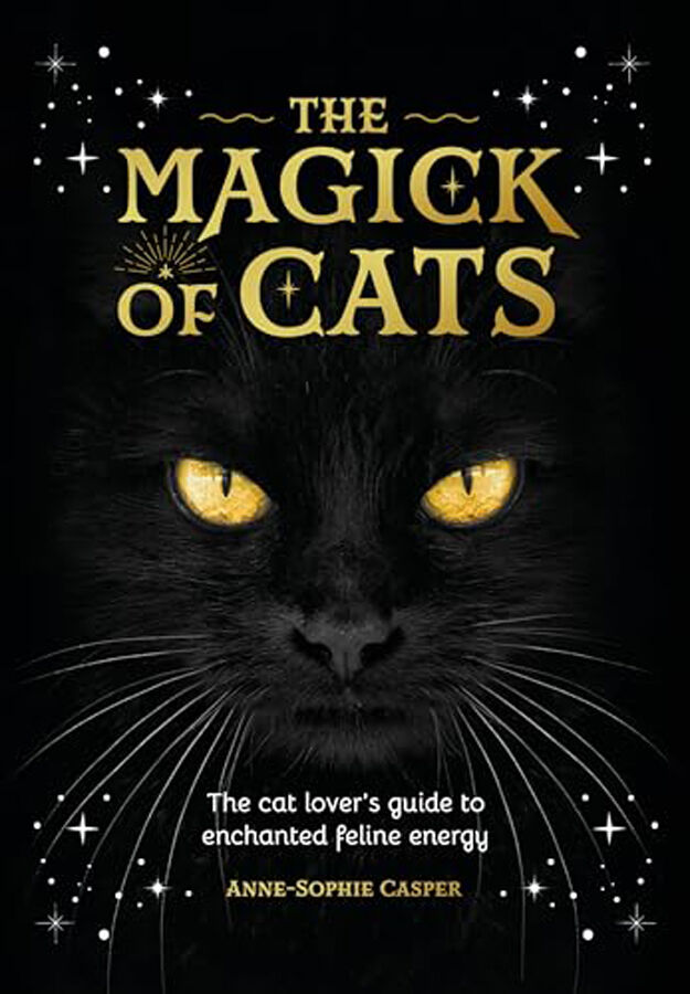 The Magic Of Cats