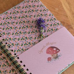 Agenda Aitor Saraiba castellano sem/vista 2026