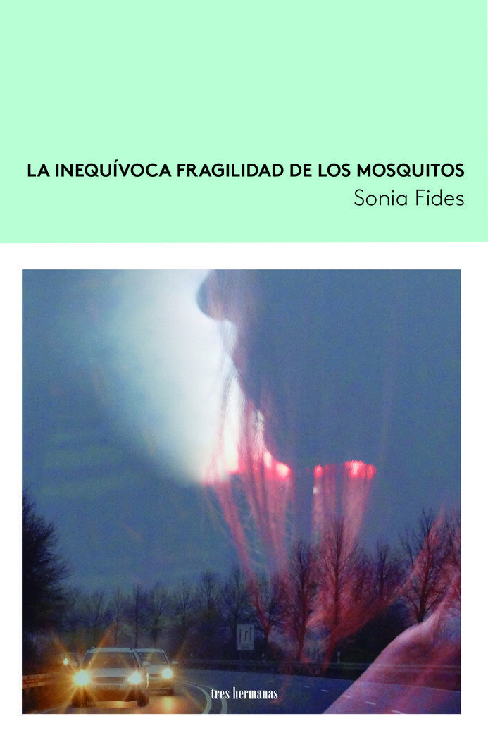 La inequ&iacute;voca fragilidad de los mosquitos