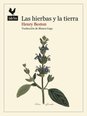 Las hierbas y la tierra Las hierbas y la tierra