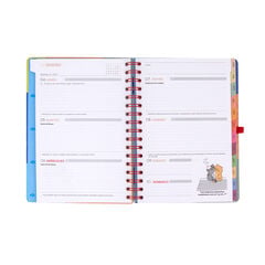 Agenda Mr. Wonderful Semana Vista Castellano En Mi Mundo 2027