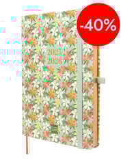 Agenda Finocam 18 mesos M5 setm/vista mult 2025-26 daisy