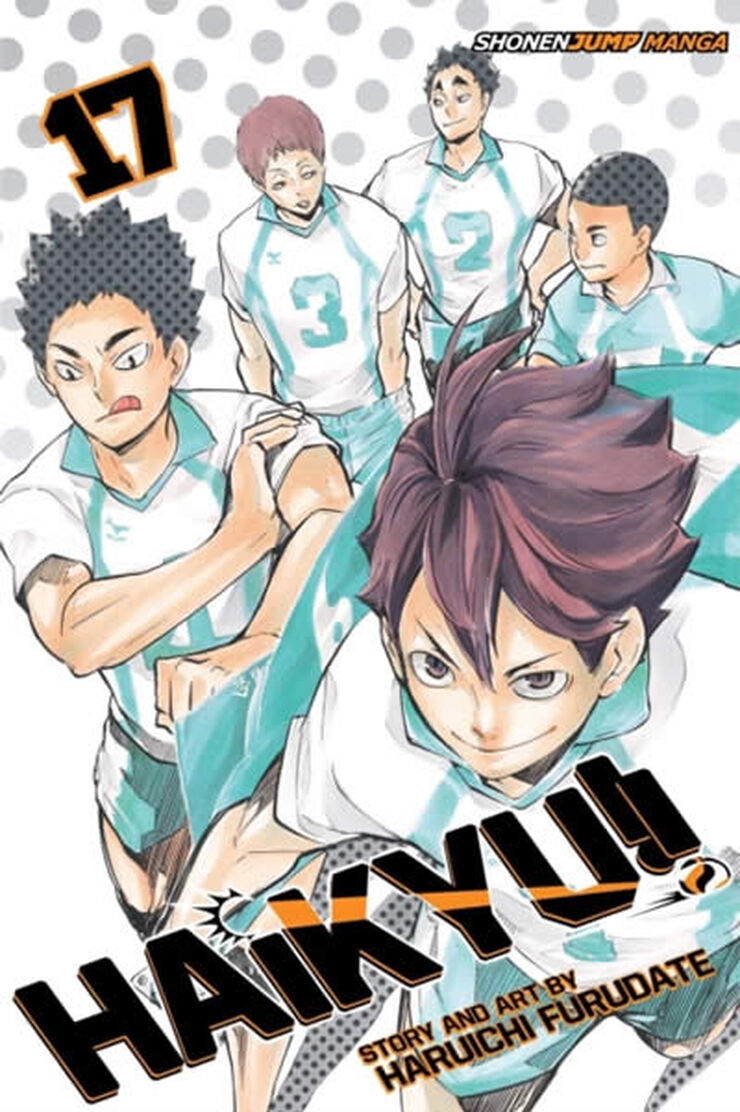 Haikyu!! vol 17