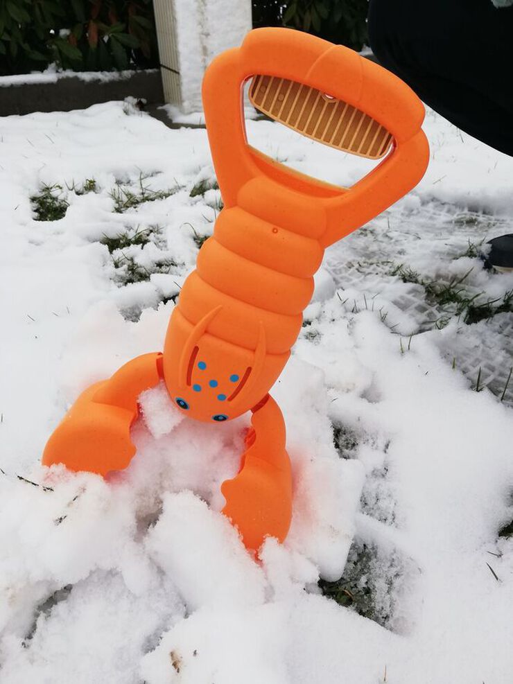 Langosta arena eco surtidas