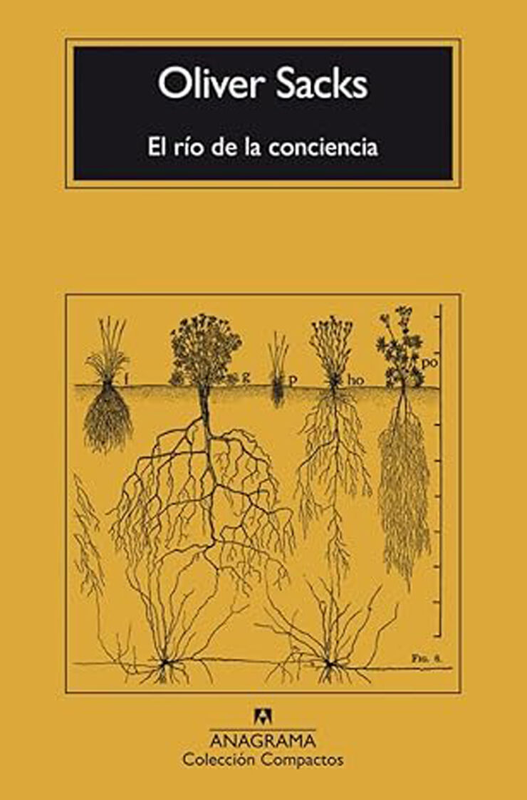 El río de la conciencia