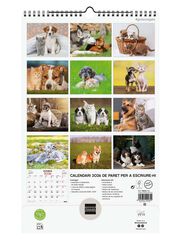 Calendario pared Finocam 25x40 2026 Gosso y Gatos catalán