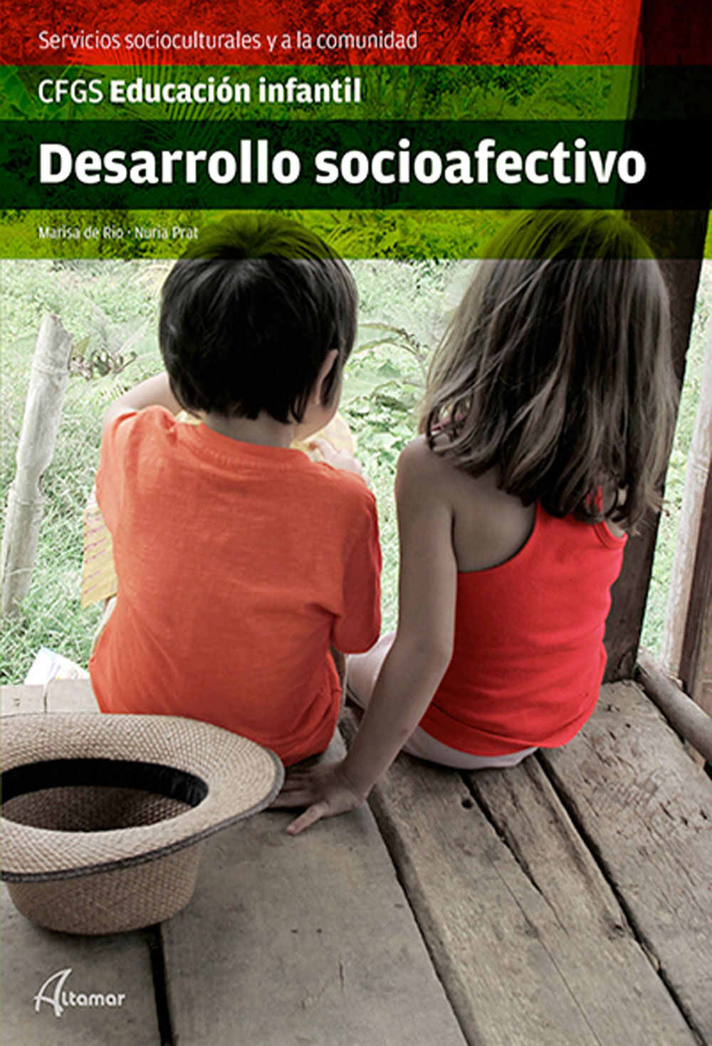 Desarrollo Socioafectivo Ciclos Formativos