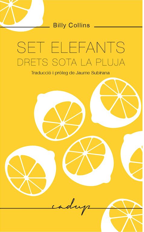 Set elefants drets sota la pluja
