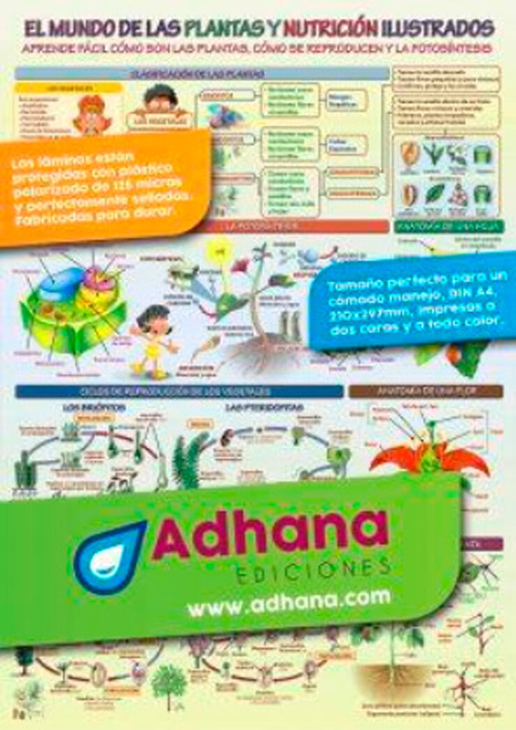 EL MUNDO DE LAS PLANTAS Y NUTRICIÓN Alfaomega 8436005169718