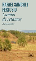 Campo de retamas