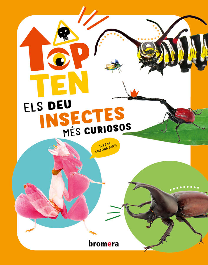 Top Ten Els deu insectes m&eacute;s curiosos