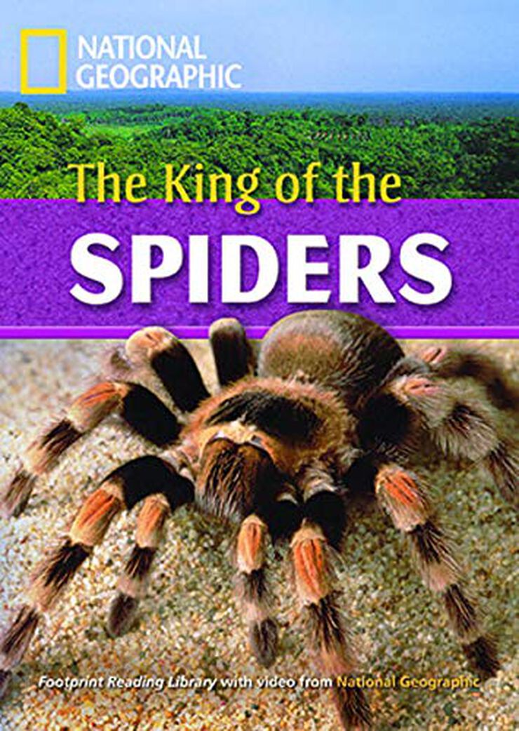 King of Spiders. 2600