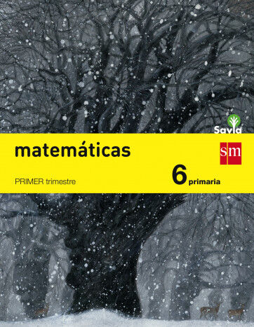 Matem&aacute;ticas. 6 Primaria. Savia