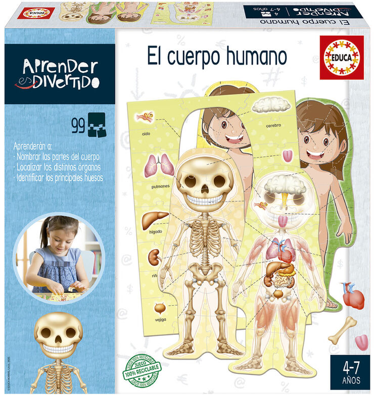 Aprender Es Divertido El Cuerpo Humano