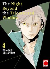 The Night Beyond The Tricornered Window 4 The Night Beyond The Tricornered Window 4