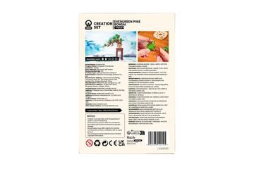 Maqueta Rolife Bonsai Pine