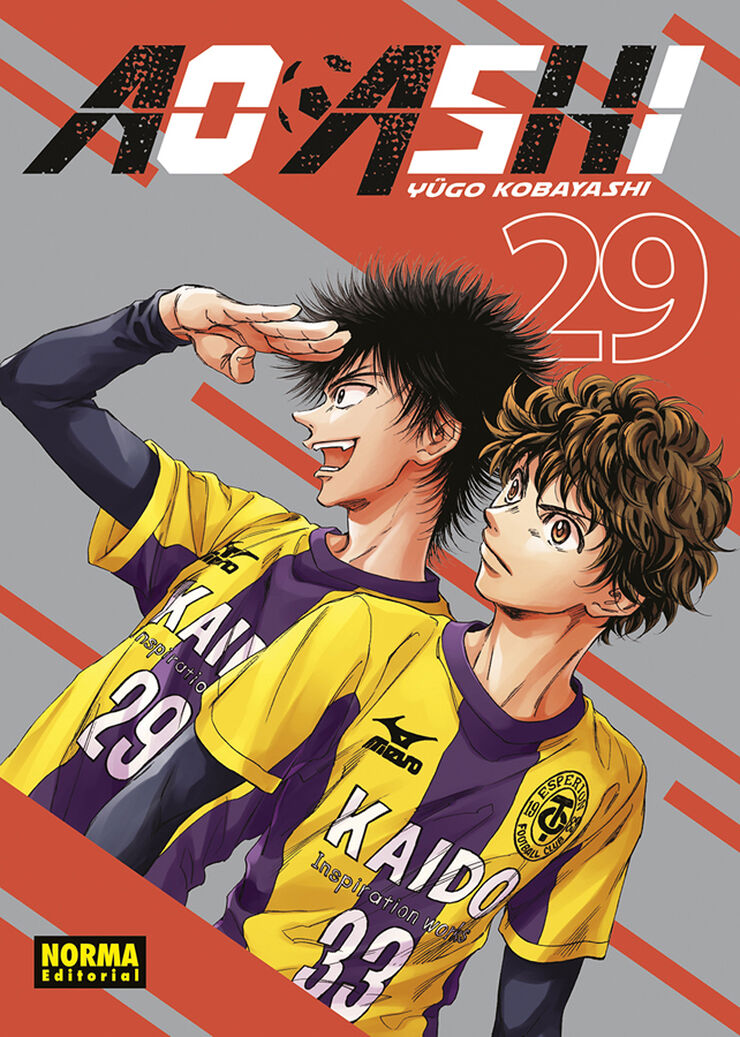 Ao ashi 29