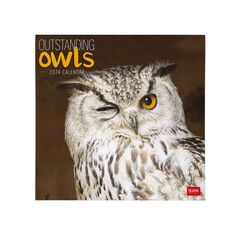Calendario pared Legami 30X29 2024 Owls