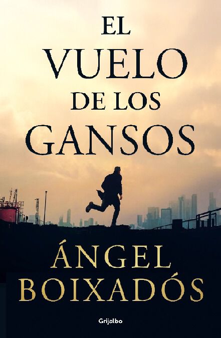 El vuelo de los gansos