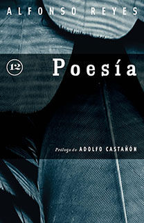 Poes&iacute;a