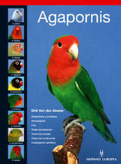 Agapornis Agapornis