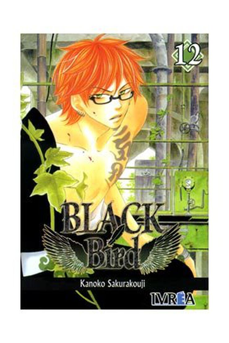 Black bird 12