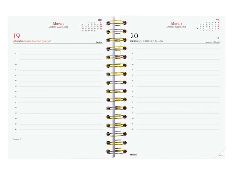 Agenda You E10 1DP 23 Tulip Cast