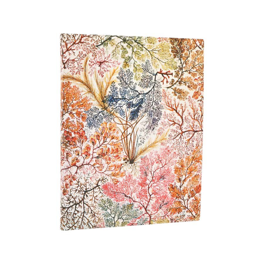 Agenda Paperblanks Professional Flexi An&egrave;mones Ultra setm/vista cas 2026