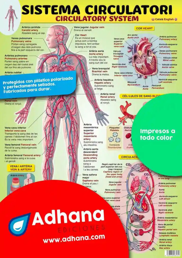 ADHAC 35X50 Sistema circulatori