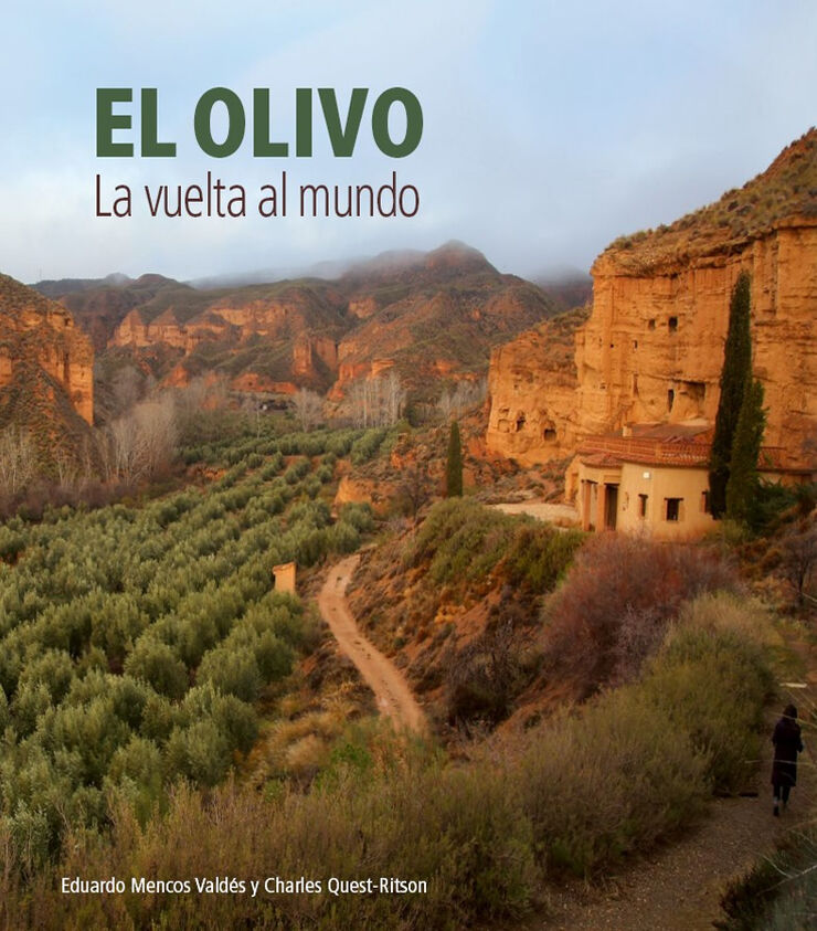 El olivo