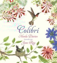 Colibrí Colibrí