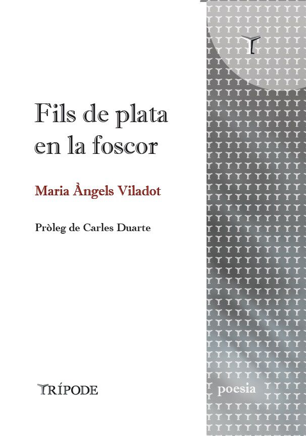 Fils de plata en la foscor