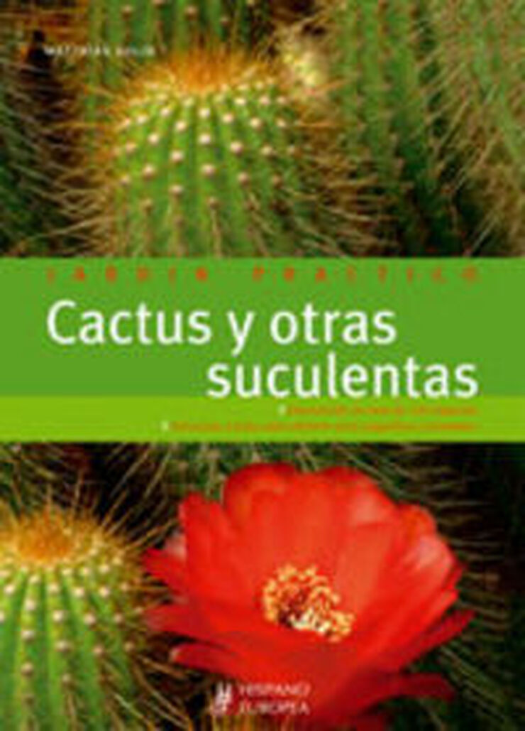 Cactus y otras suculentas