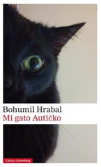 MI GATO AUTÍCKO MI GATO AUTÍCKO