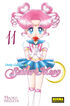 Sailor Moon vol 11