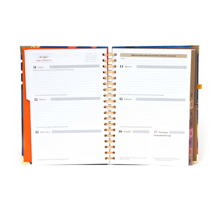 Set Agenda Mr.Wonderful Office gran sem/vista 2026 cast + Bolígrafo