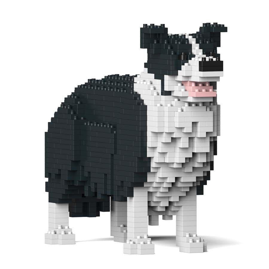 Jekca Border Collie
