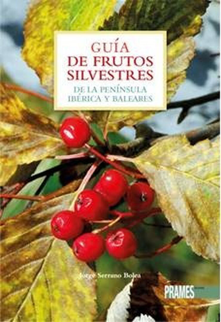 Guía de frutos silvestres de la penínsul