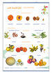Edigol lcp frutos/utilidades/70x100