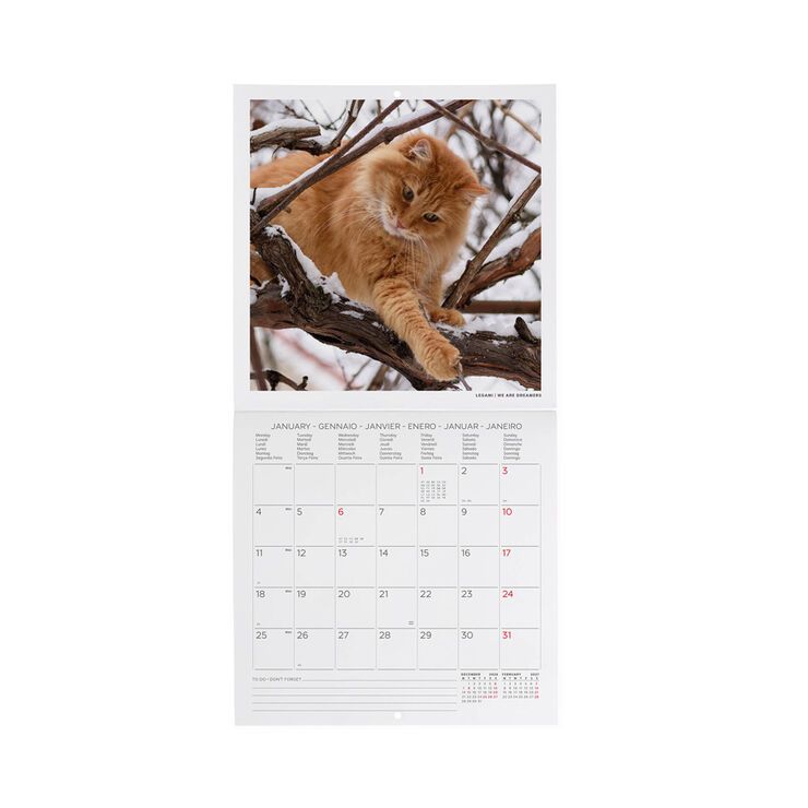Calendario Legami 18x18 Pared Cats Multiling&uuml;e 2027
