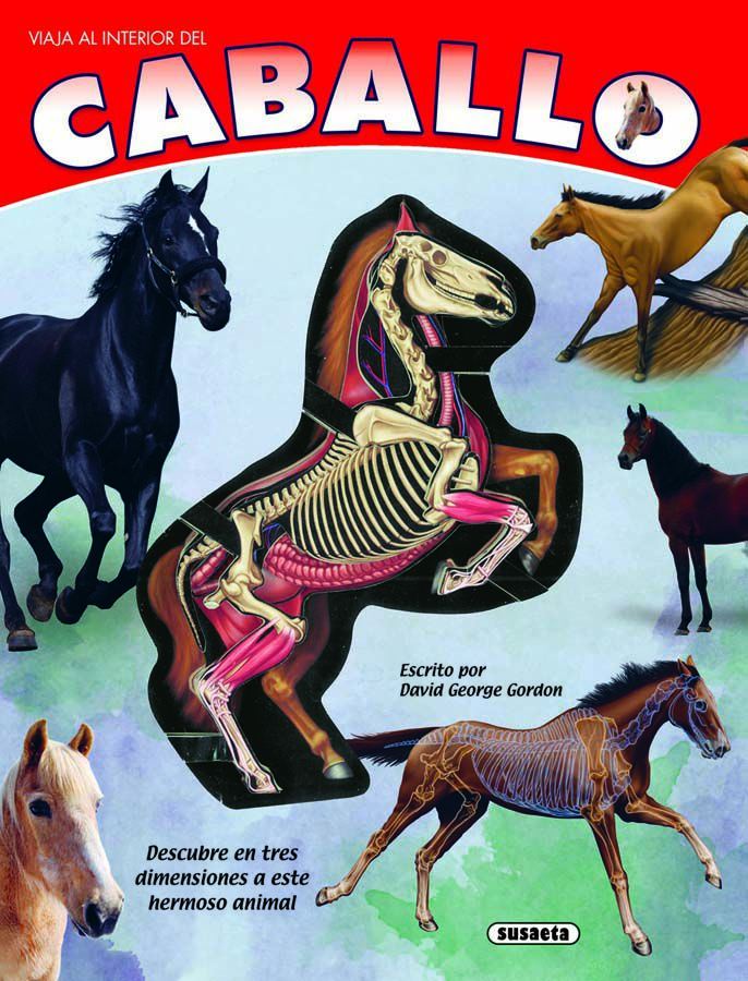 Caballo