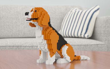 Jekca Beagle