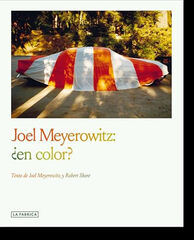 Joel Meyerowitz: ¿en color? Joel Meyerowitz: ¿en color?