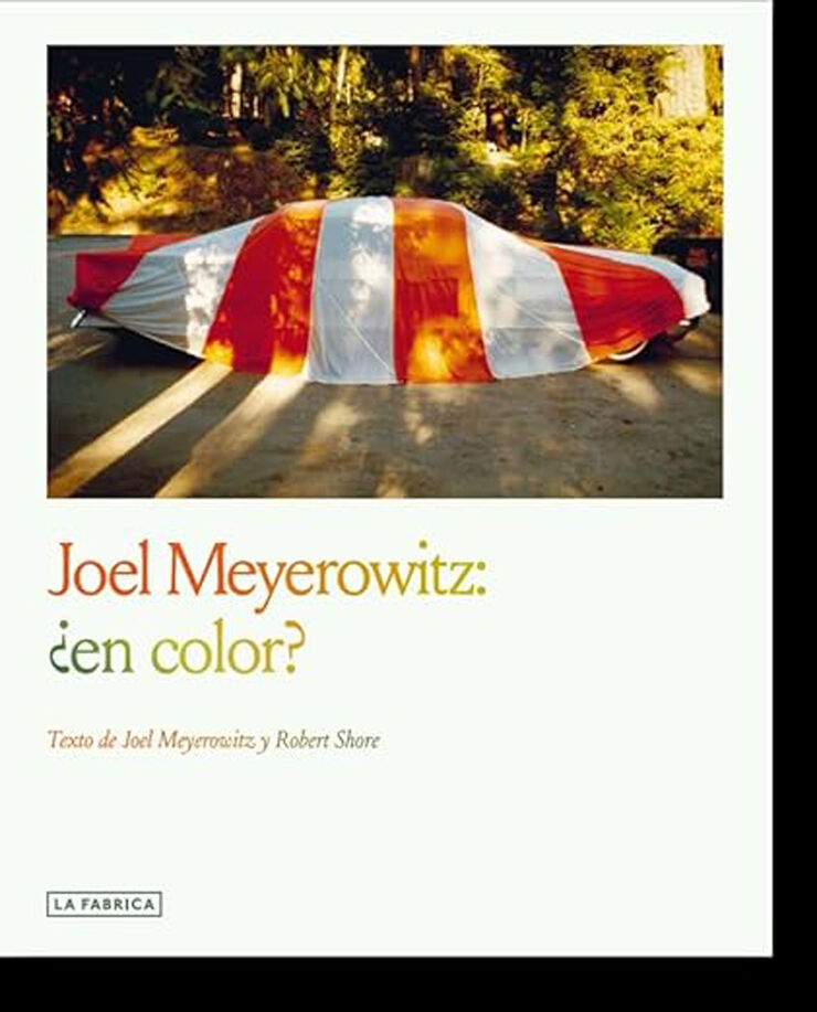 Joel Meyerowitz: ¿en color?