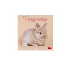 Calendario Pared Legami m/vista 2025 Honey Bunny